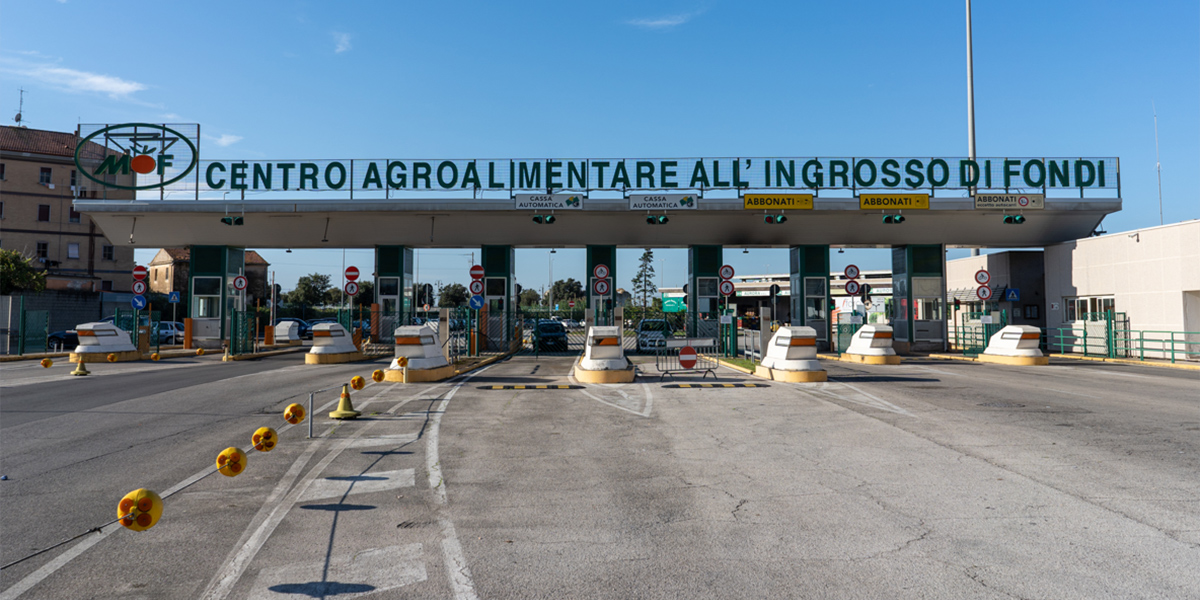 Mof a Fruit Logistica: innovazione e dialogo per il settore